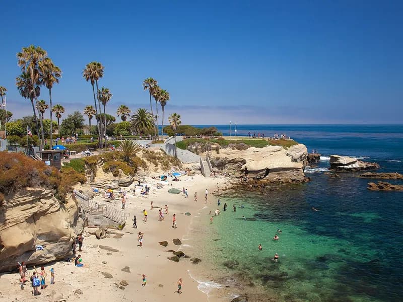 Palm trees above the sandy beach and clear water of La Jolla Cove